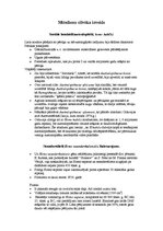 Konspekts 'Mūsdienu cilvēka izveide', 1.