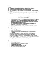 Konspekts 'Mūsdienu cilvēka izveide', 2.