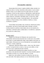 Referāts 'Ziemassvētki', 9.