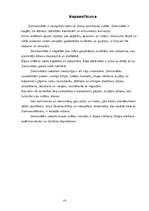 Referāts 'Ziemassvētki', 13.