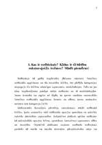 Referāts 'Estētikas kategorijas', 3.