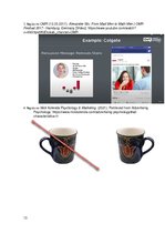 Referāts 'Interneta reklāma un tās psiholoģiskie aspekti', 13.