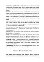 Konspekts 'Ruma rašanās, veidi un tehnoloģija', 7.