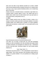 Konspekts 'Ruma rašanās, veidi un tehnoloģija', 8.