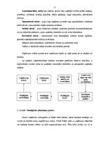 Referāts 'Uzņēmējdarbības teorija un mārketinga stratēģijas teorētiskie pamati', 12.