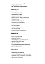 Referāts 'Uzņēmējdarbības teorija un mārketinga stratēģijas teorētiskie pamati', 14.