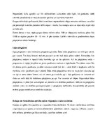 Referāts 'Skolēnu un jauniešu grupu aktivitātes brīvā dabā. To plānošana, organizēšana un ', 11.