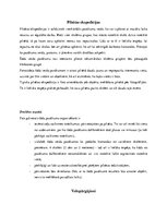 Referāts 'Skolēnu un jauniešu grupu aktivitātes brīvā dabā. To plānošana, organizēšana un ', 12.