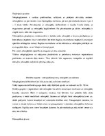 Referāts 'Skolēnu un jauniešu grupu aktivitātes brīvā dabā. To plānošana, organizēšana un ', 13.