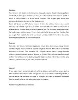 Referāts 'Skolēnu un jauniešu grupu aktivitātes brīvā dabā. To plānošana, organizēšana un ', 15.