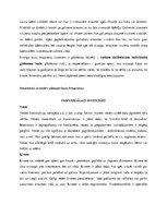 Referāts 'Skolēnu un jauniešu grupu aktivitātes brīvā dabā. To plānošana, organizēšana un ', 17.