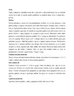 Referāts 'Skolēnu un jauniešu grupu aktivitātes brīvā dabā. To plānošana, organizēšana un ', 22.