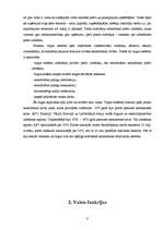 Referāts 'Valsts loma ekonomikā', 7.