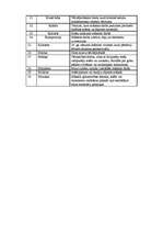 Konspekts 'Mākslas terminu vārdnīca', 2.