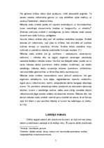 Referāts 'Estētikas pamatkategorijas', 7.