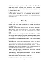 Referāts 'Estētikas pamatkategorijas', 13.