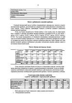 Biznesa plāns 'Бизнес-план', 10.