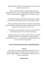 Referāts 'Koka rotaļlietu vēsture', 10.