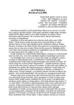 Referāts 'Koalas lācīši', 1.