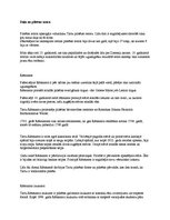 Paraugs 'Vienas dienas tūrisma maršruts uz Igauniju un atpakaļ', 3.