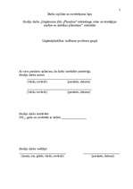 Referāts 'Uzņēmuma SIA "PlazaSun" mārketinga vides un stratēģijas analīze un darbības plān', 2.