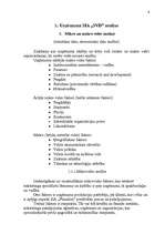 Referāts 'Uzņēmuma SIA "PlazaSun" mārketinga vides un stratēģijas analīze un darbības plān', 6.