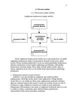 Referāts 'Uzņēmuma SIA "PlazaSun" mārketinga vides un stratēģijas analīze un darbības plān', 15.