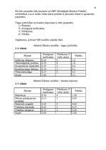 Referāts 'Uzņēmuma SIA "PlazaSun" mārketinga vides un stratēģijas analīze un darbības plān', 19.