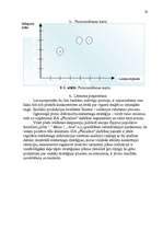 Referāts 'Uzņēmuma SIA "PlazaSun" mārketinga vides un stratēģijas analīze un darbības plān', 28.