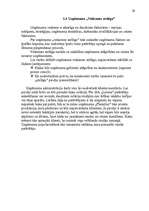 Referāts 'Uzņēmuma SIA "PlazaSun" mārketinga vides un stratēģijas analīze un darbības plān', 29.