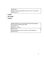 Konspekts 'Valodas stilu žurnāls par tēmu "Alkohols"', 12.