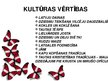 Prezentācija 'Latvijas tradīcijas', 2.
