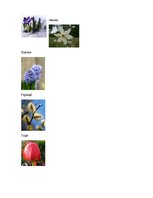 Konspekts 'Atklātā nodarbība bērnu vecākiem "Pavasarī"', 4.