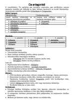 Konspekts 'Ca antagonisti. Farmakoloģija', 1.