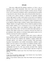 Paraugs 'Sabiedrības ar ierobežotu atbildību dibināšanas nosacījumi. Ievads', 4.