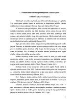 Diplomdarbs 'Pašdarinātu didaktisko uzskates līdzekļu izmantošana 1.klases skolēnu uztveres v', 7.