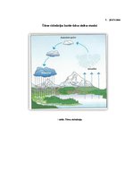 Diplomdarbs 'Pašdarinātu didaktisko uzskates līdzekļu izmantošana 1.klases skolēnu uztveres v', 46.