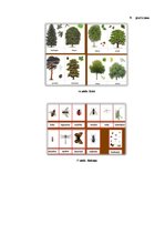 Diplomdarbs 'Pašdarinātu didaktisko uzskates līdzekļu izmantošana 1.klases skolēnu uztveres v', 54.