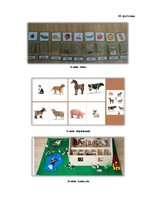 Diplomdarbs 'Pašdarinātu didaktisko uzskates līdzekļu izmantošana 1.klases skolēnu uztveres v', 55.