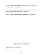 Referāts 'Raganas no aizvēstures līdz mūsdienām', 20.