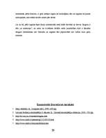 Referāts 'Raganas no aizvēstures līdz mūsdienām', 29.