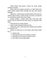 Eseja 'Vadītāja sociālās atbildības izpausmes un efektivitāte', 6.