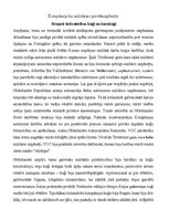 Referāts 'Nīderlandes Austrumindijas kompānija', 20.