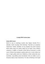 Referāts 'MLM attīstība Latvijā no 2000. līdz 2002.g.', 4.