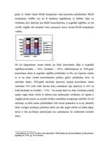 Referāts 'MLM attīstība Latvijā no 2000. līdz 2002.g.', 11.