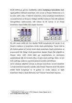 Referāts 'MLM attīstība Latvijā no 2000. līdz 2002.g.', 24.
