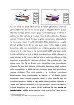 Referāts 'MLM attīstība Latvijā no 2000. līdz 2002.g.', 25.