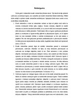Referāts 'Klusā vietniecība', 14.