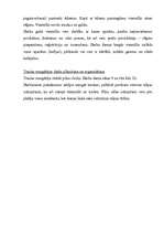 Prakses atskaite 'Prakses atskaite', 5.