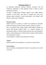 Prakses atskaite 'Prakses atskaite', 7.